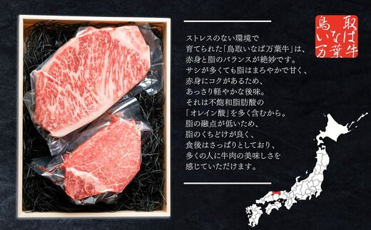 963.【定期便12回】鳥取いなば万葉牛　シャトーブリアン・サーロインステーキセット(各150ｇ)