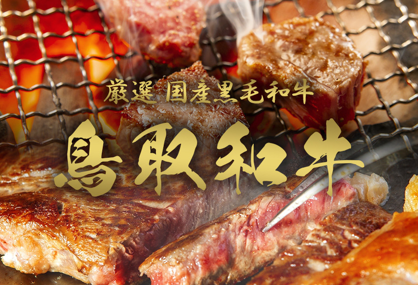 991.【和牛セレブ（鳥取和牛定期便：6回）】ゴールドクラス《検索用ワード:牛肉 すき焼き ステーキ しゃぶしゃぶ 焼き肉 焼肉》
