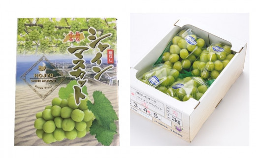 736.【先行予約】【ＪＡ】　シャインマスカット　赤秀2kg箱（3～5房入）　※着日指定不可　※離島への配送不可　※2026年9月初旬頃～9月中旬頃に順次発送予定