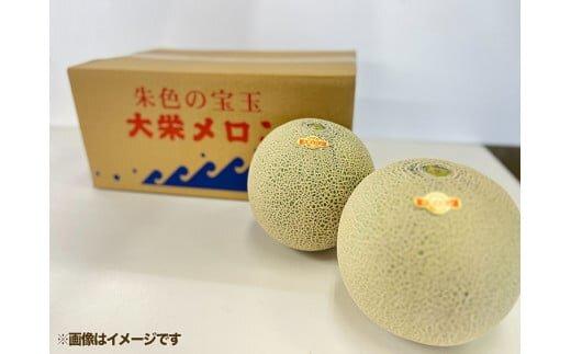 739.【先行予約】【ＪＡ】大栄メロン　プリモレッド（赤肉）赤秀3Ｌ×5玉　※着日指定不可　※離島への配送不可　※2026年9月末頃～10月下旬頃に順次発送予定
