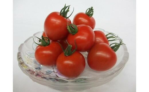 1013.【先行予約】【ＪＡ】ナンチューうまいトマト（中玉トマト）　A・250ｇ×8袋　※着日指定不可　※離島への配送不可　※2026年9月上旬頃～10月末頃に順次発送予定