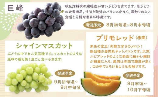 1015.【先行予約 2026年8月以降発送】 鳥取県北栄町から旬の美味しさをお届け！特産づくし【5回定期便】