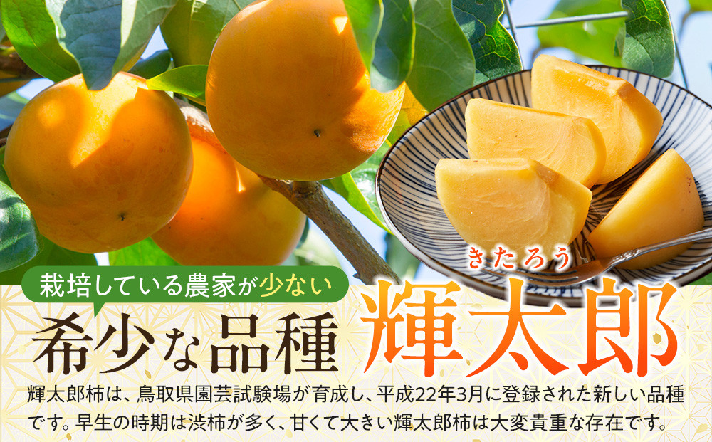 1258.【先行予約】輝太郎柿　赤秀3kg（7～10玉）