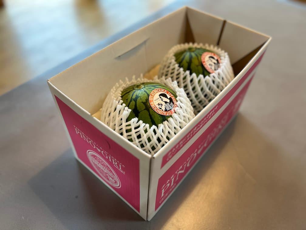 【先行予約】798.種ごと食べられる！小玉スイカ【ピノ・ガール】2玉（1玉2kg前後×2玉）※着日指定不可※離島への配送不可