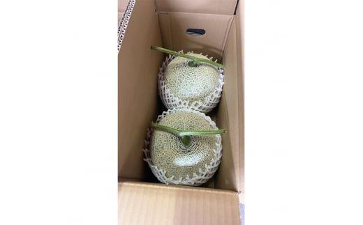 【先行予約】808.【赤肉系メロン】プリモレッド×２玉（1玉2kg前後×2玉）※離島への配送不可