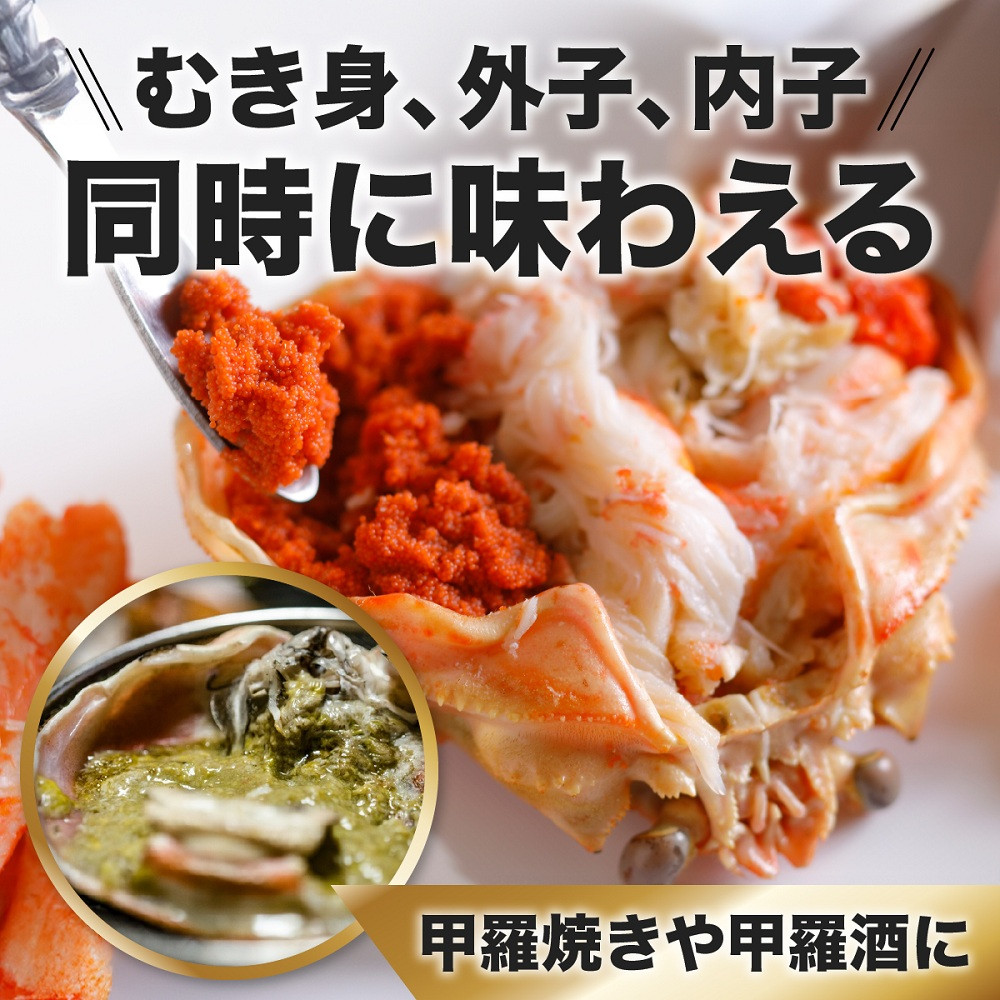 1272.甲羅盛り かに セコガニの甲羅盛 鳥取からお届け！ 15個入り