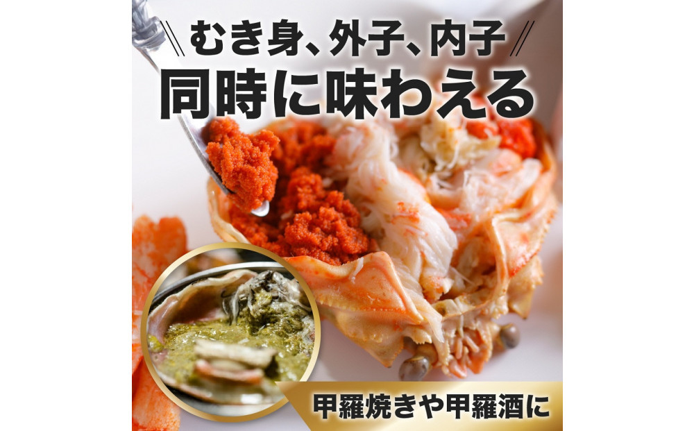 1273.甲羅盛り かに セコガニの甲羅盛 鳥取からお届け！ 3個入り