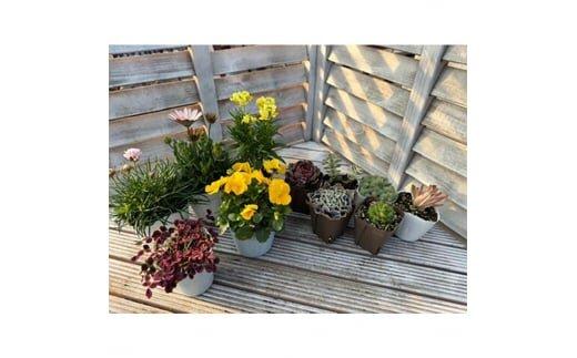 811.季節のガーデン＆グリーンセット　※離島への配送不可