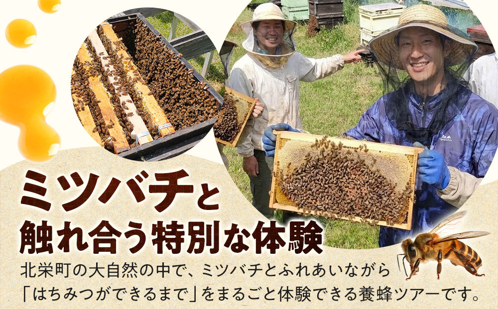 1283.【要予約 親子用（大人1名様+小学生1名様）】あんどう養蜂 まるごと養蜂体験（約3時間）はちみつ大人：600g、小学生：300g付き