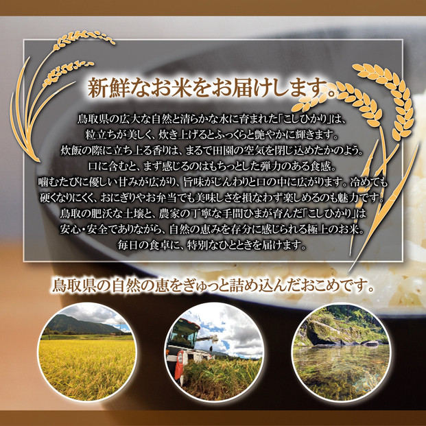 1109.令和7年産　山崎農園こしひかり玄米　10kg