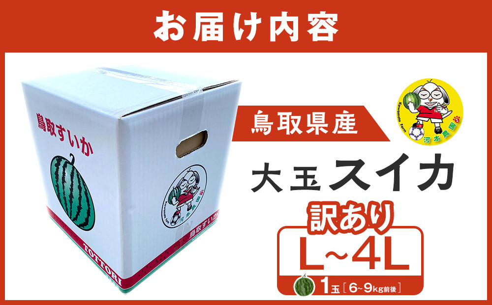 1115.鳥取県産 大玉スイカ 訳あり 1玉 6-9キロ前後L-4L（こちらの返礼品は、大栄西瓜ではありません）