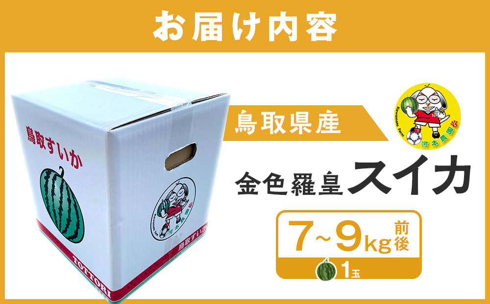 1116.鳥取県産 金色羅皇スイカ 1玉 7-9キロ前後（こちらの返礼品は、大栄西瓜ではありません）