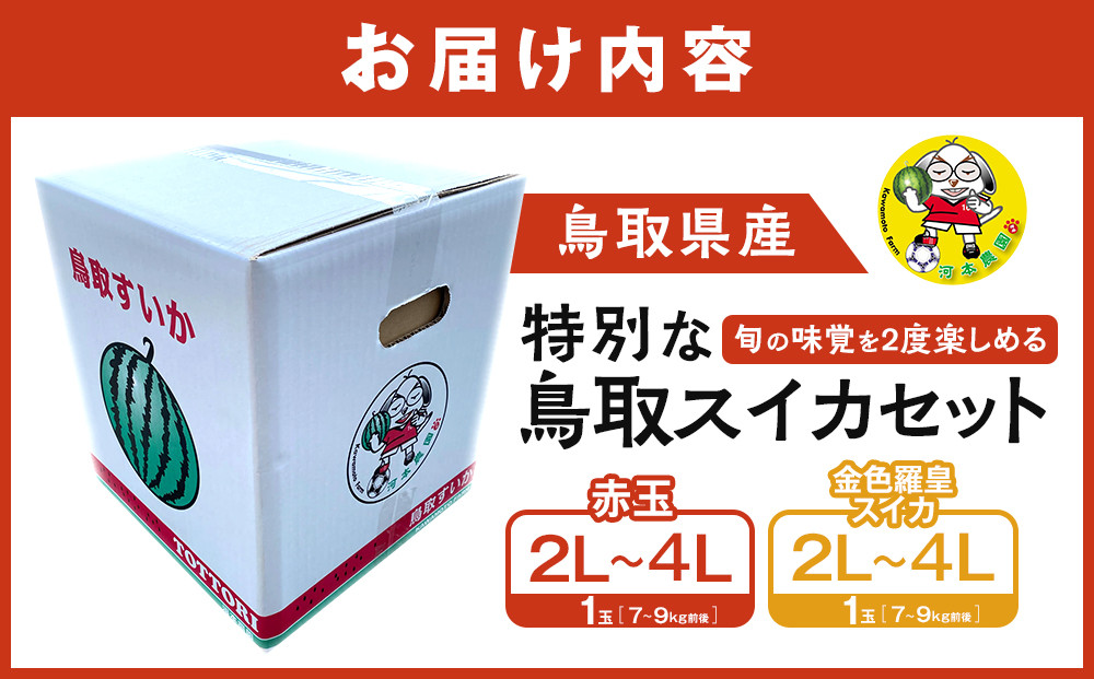 1118.旬の味覚を2度楽しめる、特別な鳥取スイカセット（こちらの返礼品は、大栄西瓜ではありません）