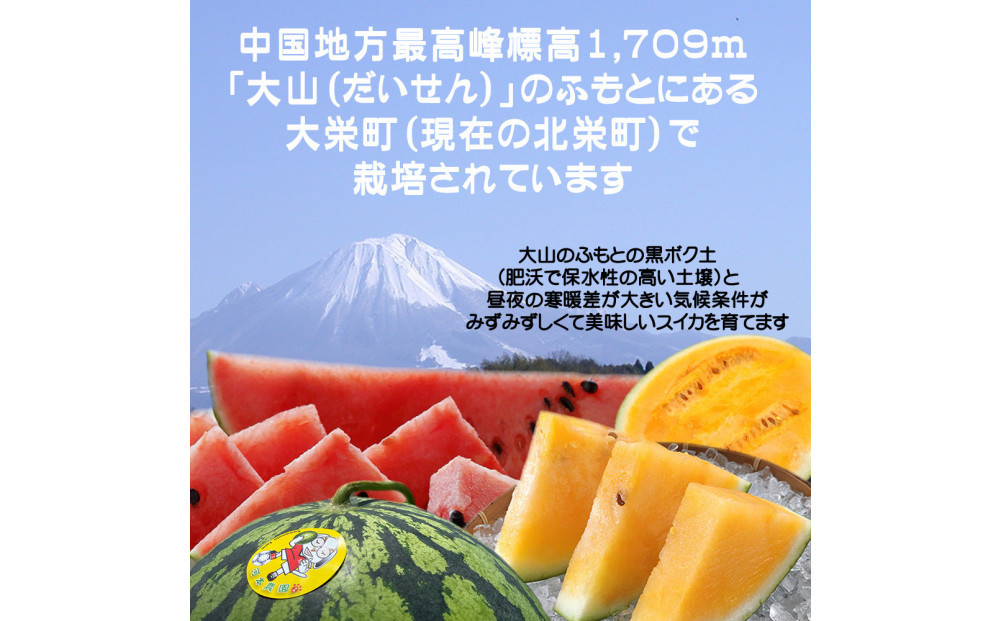 1254.【先行予約】鳥取スイカの食べ比べ！2玉セット（赤肉すいか＆金色羅皇）