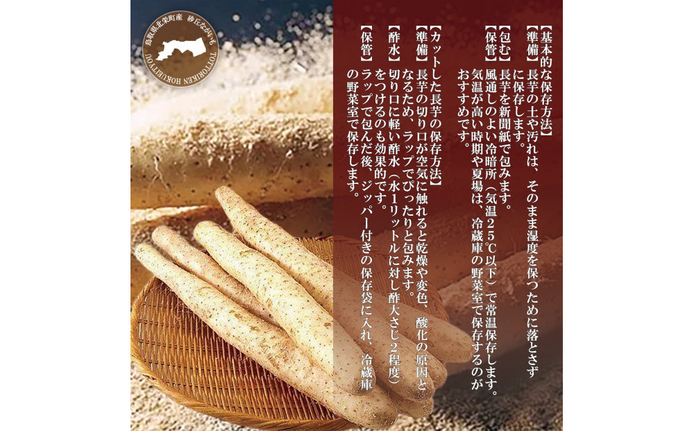 1113.砂丘ながいも1.8kg