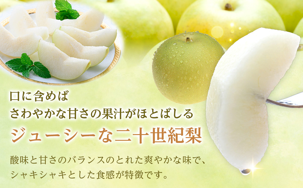 1280.【2026年9月発送】二十世紀梨　4ｋｇ