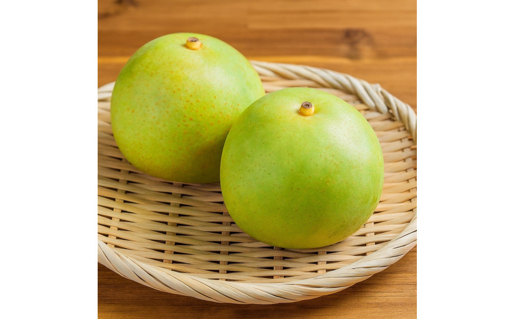 1265.【2026年度発送先行予約】訳あり　二十世紀梨　3kg