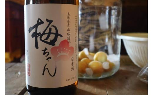 672. 果実酒のための清酒『梅ちゃん』※着日指定不可 ※離島への配送不可 ※2025年5月上旬～8月下旬頃に順次発送予定