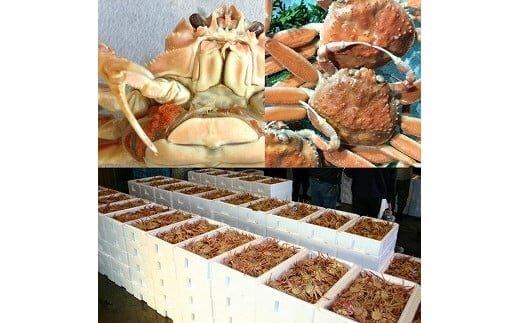 【ボイル】鳥取県産 セコガニ 訳あり 良品 2kg※2025年11月上旬～12月下旬頃に順次発送予定◇