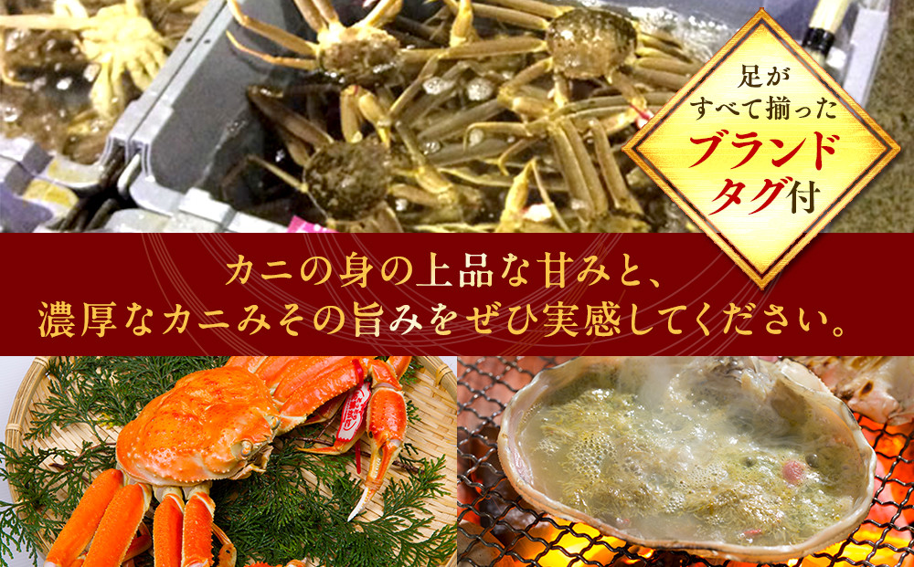 【活】タグ付き　松葉ガニ　大1枚（800g前後）◇【着日指定不可】※2025年11月上旬～2026年3月下旬頃に順次発送予定《かに カニ 蟹》