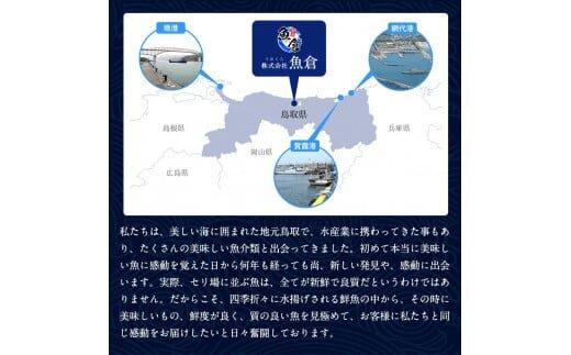 【早期受付】【ボイル】訳あり　松葉ガニおまかせ3kg（5～8枚）《かに カニ 蟹 ズワイガニ》※着日指定不可※2025年11月上旬頃から順次発送予定