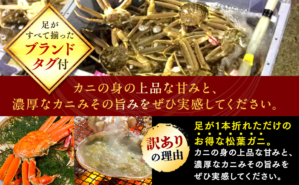 【ボイル】足1本なし　訳あり松葉ガニ　並1枚（500～600g前後）【着日指定不可】※2026年11月上旬～2027年3月下旬頃に順次発送予定《かに カニ 蟹》