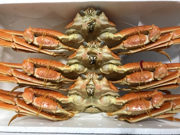 1102.【ボイル】訳あり　松葉ガニおまかせ2kg（3～7枚）※2025年11月上旬～2026年3月下旬頃に順次発送予定※着日指定不可