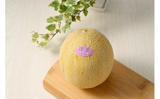 311.【先行予約】幻の「優香メロン」満足の2玉セット　※2026年6月下旬頃より順次発送予定