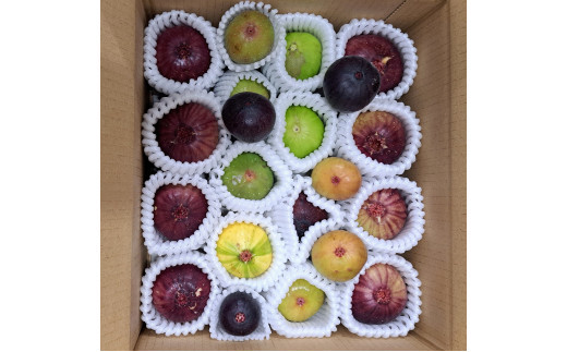 1005.生いちじく（詰め合わせ）1kg