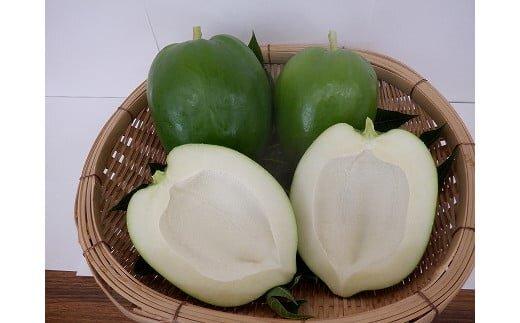 781.青パパイヤ（砂丘パパイヤ）2.0kg前後※2025年9月中旬～11月下旬頃に順次発送予定※離島への配送不可