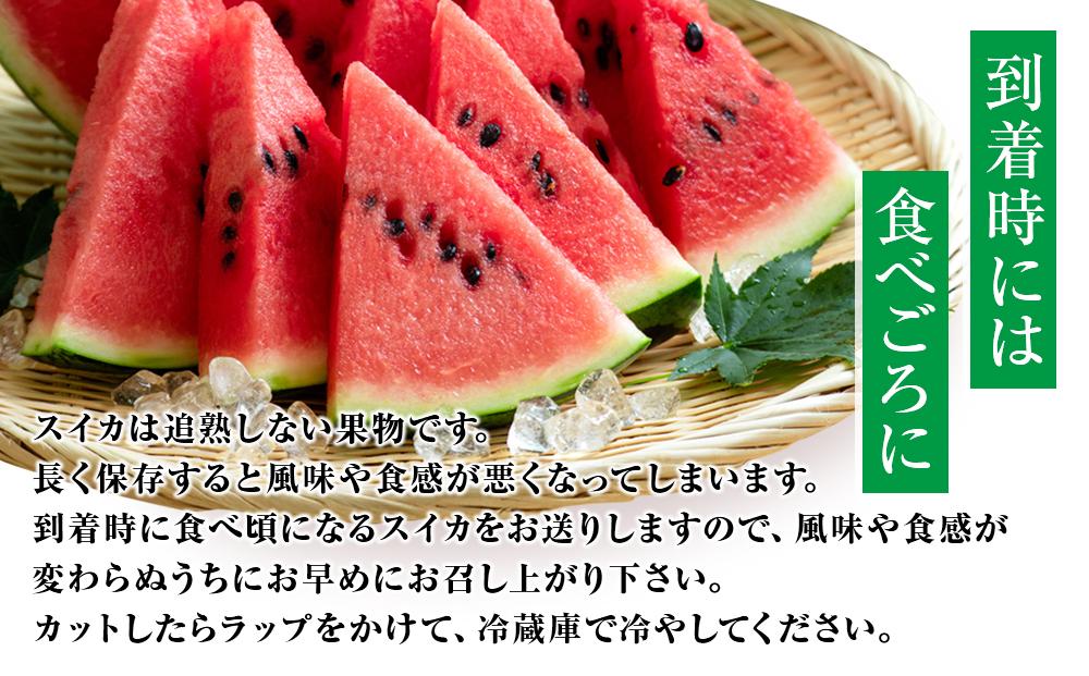 【2026年産先行予約】大玉スイカ『羅皇ザ・スウィート』（こちらの西瓜は大栄西瓜ではありません） ◇2026年7月上旬～7月中旬頃に順次発送