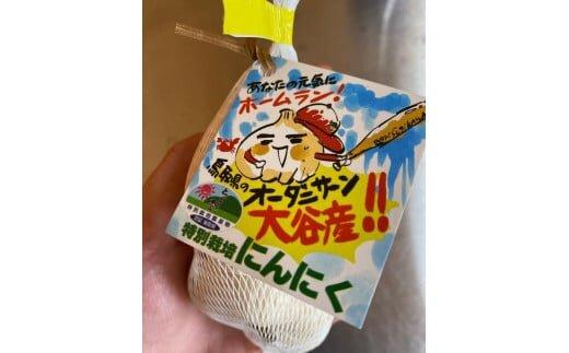 585.スイカ農家のフル～ティ黒にんにく 元気のたねこ大袋｜自然食品 美容  健康  疲労回復　鳥取県産　免疫力「鳥取県特別栽培農産物」認証の自社生産ホワイト六片とジャンボにんにくを使用※着日指定不可 ※2025年7月中旬～2026年2月下旬頃に順次発送予定