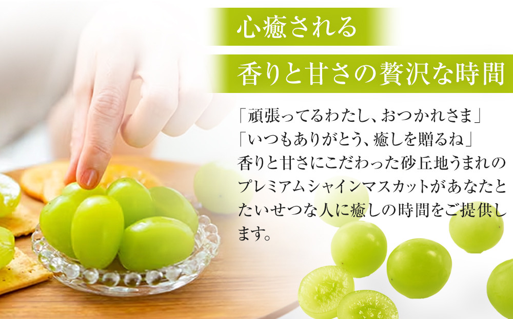 914.【先行予約】シャインマスカット 訳あり 家庭用 鳥取砂丘地産 2.8kg（350g×8パック） ※離島への配送不可 ※2026年8月下旬頃～10月下旬頃に順次発送