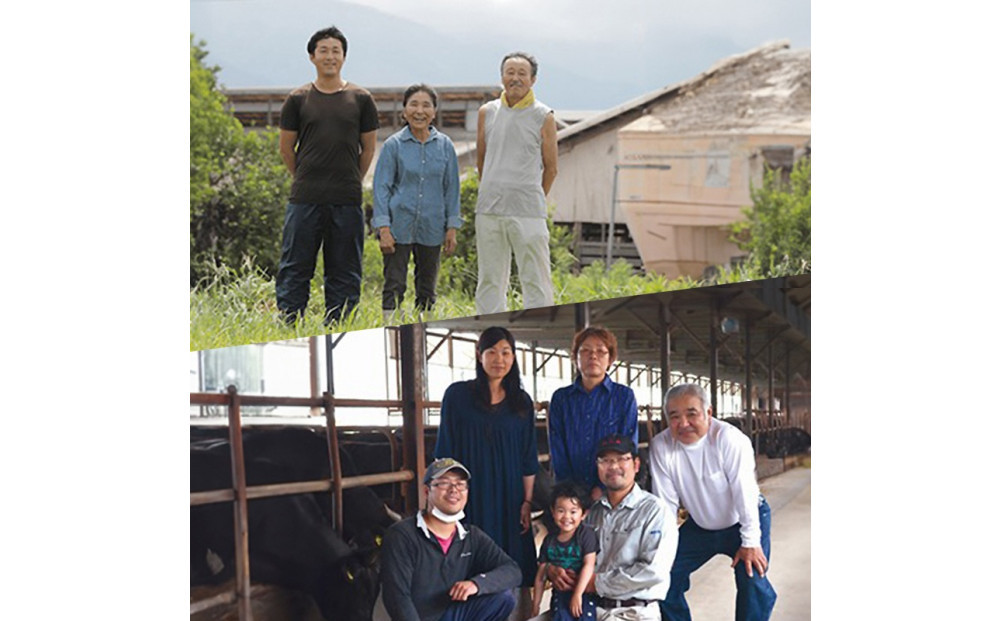 995.【和牛セレブ（12か月定期便）】鳥取県産牛ヒレステーキ2枚×12か月間