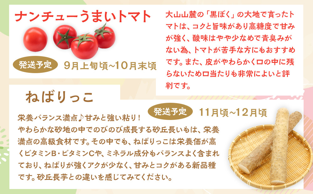 1015.【先行予約 2026年8月以降発送】 鳥取県北栄町から旬の美味しさをお届け！特産づくし【5回定期便】