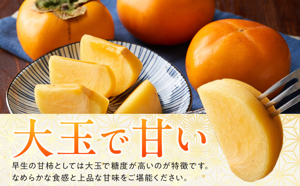 1258.【先行予約】輝太郎柿　赤秀3kg（7～10玉）