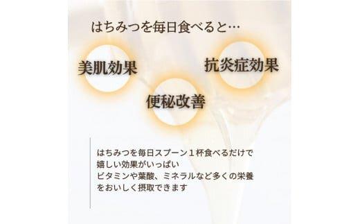 ※受付停止25.5.13※944.天然はちみつ　アカシア　600g×1本  蜂蜜 ハチミツ ハチ蜜 鳥取県産◇日本全国配送可能