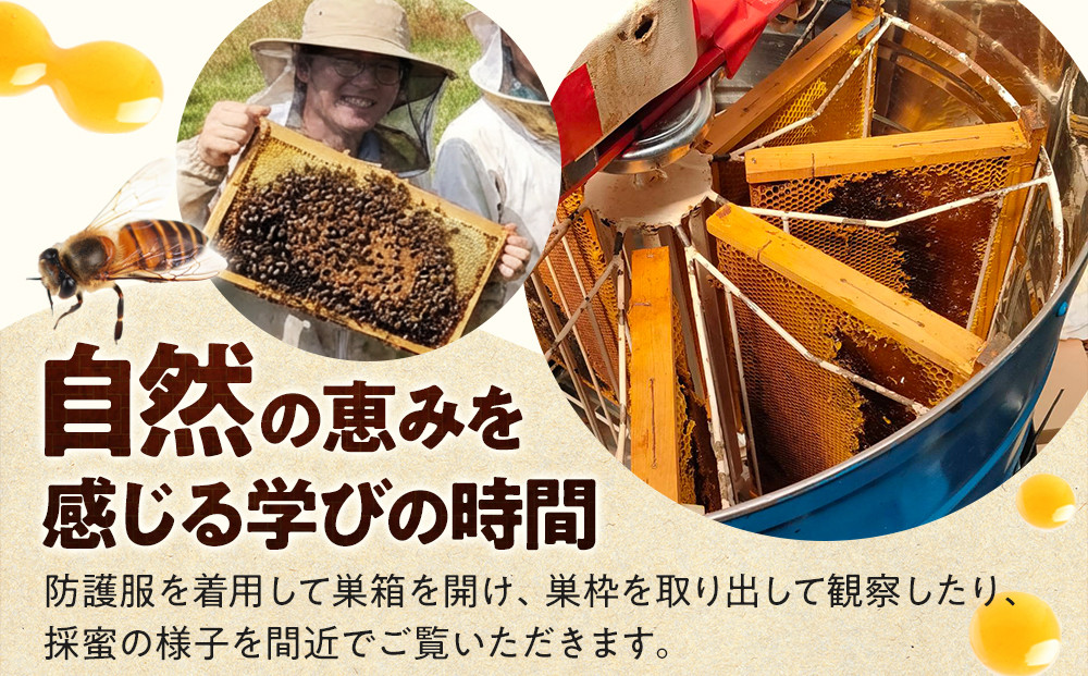 1282.【要予約 大人1名様用】あんどう養蜂 まるごと養蜂体験（約3時間）はちみつ600g付き