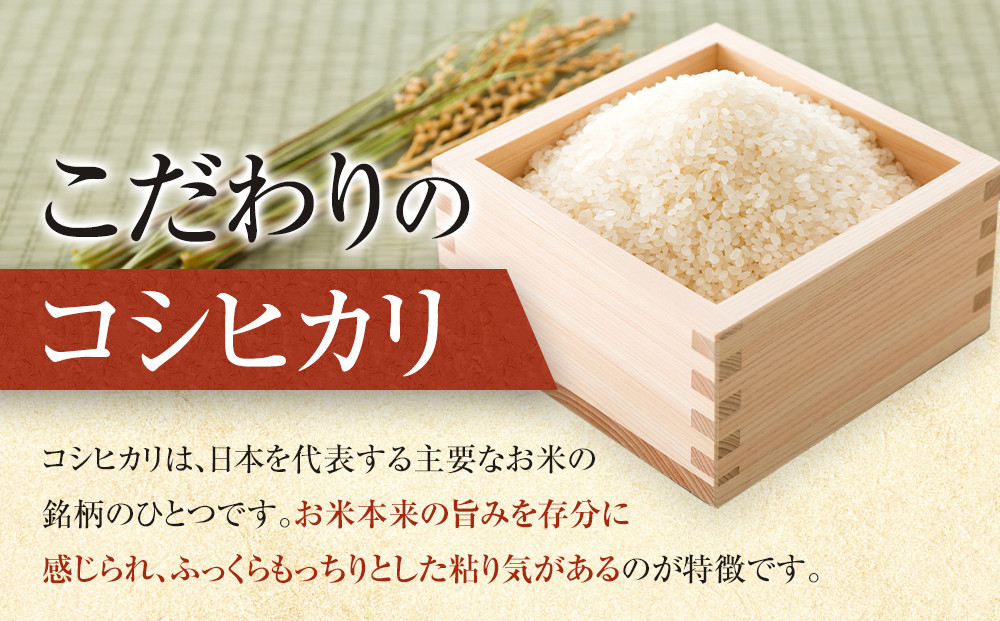 1087.【令和7年産新米】【食味鑑定士厳選】 鳥取県産 コシヒカリ10kg (5kg×2袋)