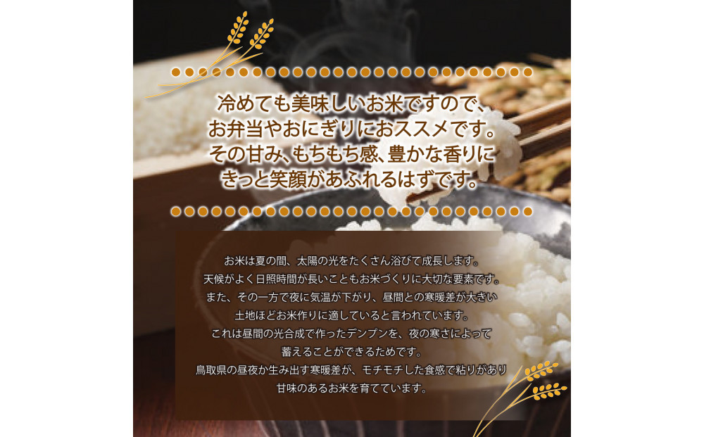 1082.令和7年産　原田農園きぬむすめ精米 5kg