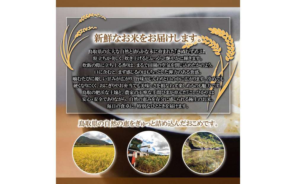 1103.令和7年産　原田農園きぬむすめ玄米 5kg