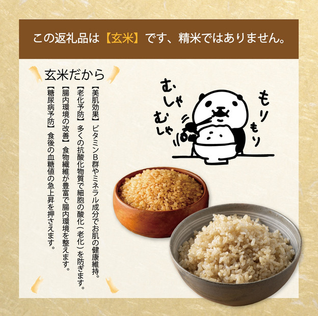 1109.令和7年産　山崎農園こしひかり玄米　10kg