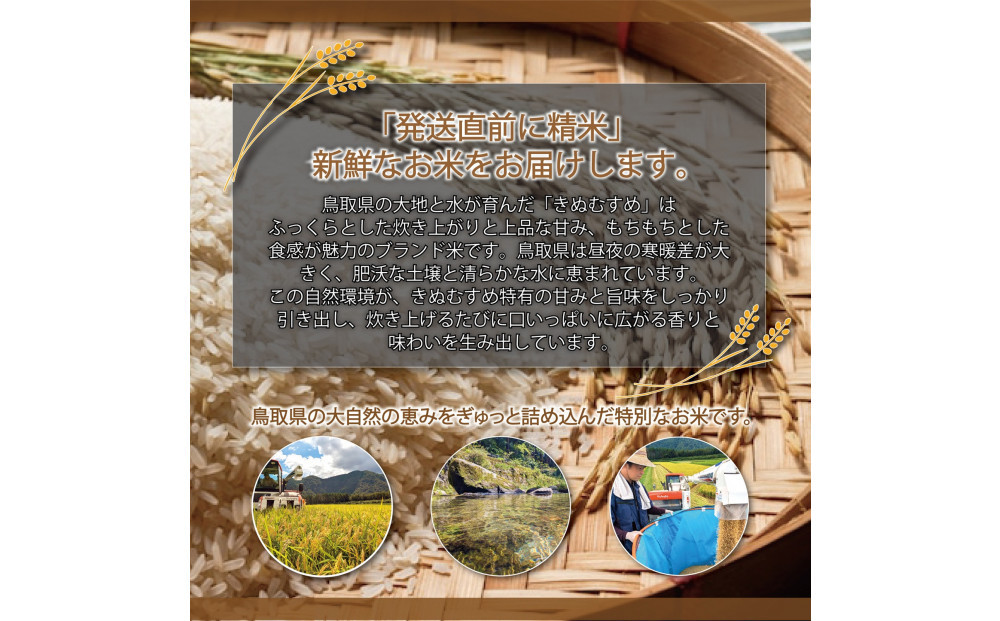 1105.令和7年産　大上農園きぬむすめ精米 10kg