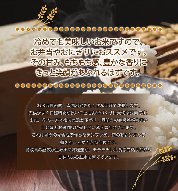 令和6年産こしひかり精米10kg