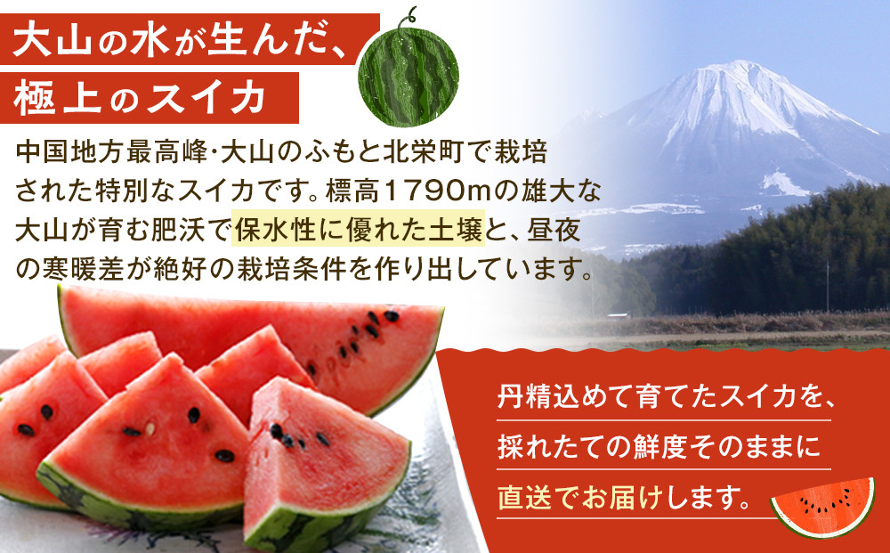 1115.鳥取県産 大玉スイカ 訳あり 1玉 6-9キロ前後L-4L（こちらの返礼品は、大栄西瓜ではありません）