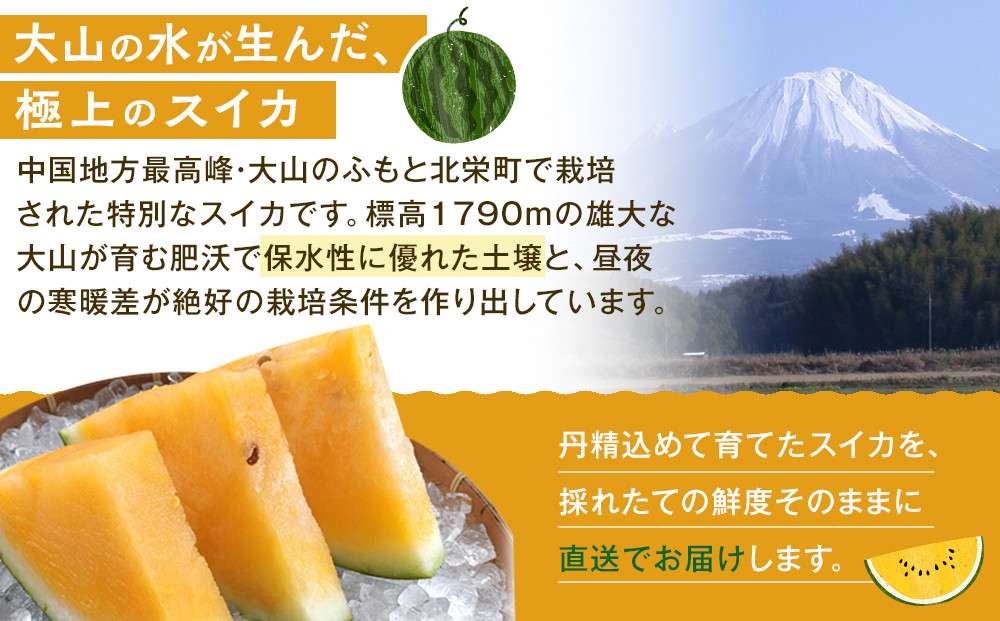 1116.鳥取県産 金色羅皇スイカ 1玉 7-9キロ前後（こちらの返礼品は、大栄西瓜ではありません）