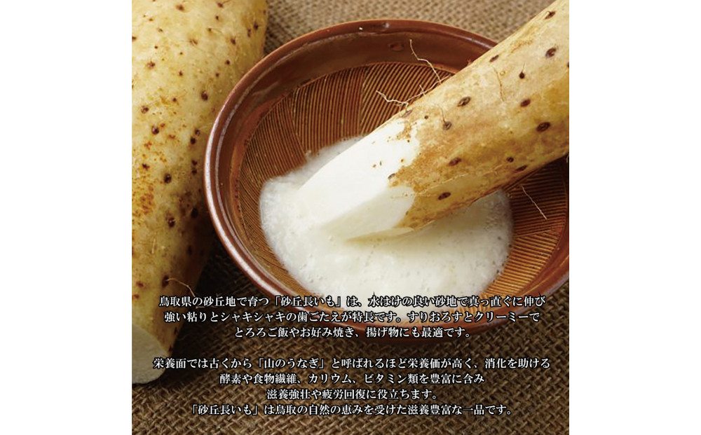 1113.砂丘ながいも1.8kg