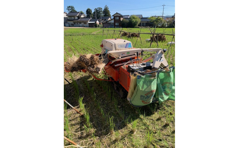 1261.＜令和７年産＞ たかた農園のお米「きぬむすめ」はでかけ　天日干し【精米10kg】