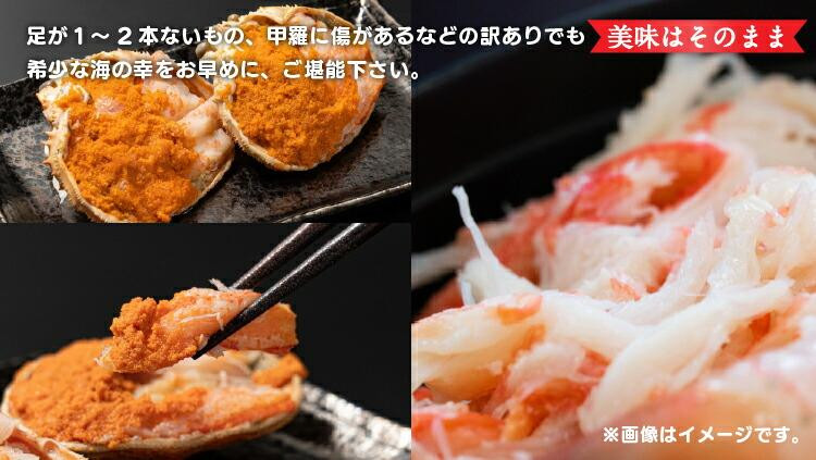 【活】鳥取県産セコガニ　訳あり　良品7~8枚詰《かに カニ 蟹 セコガニ》※2025/11/6～2025/12/25に順次発送予定※着日指定不可  離島不可（北海道、沖縄本島は配送可能）