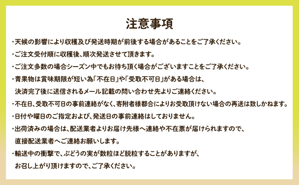 955.【先行予約】【訳あり】シャインマスカット（350ｇ前後）と旬の梨（5玉）セット≪ぶどう、マスカット、ブドウ、葡萄、なし 果物 フルーツ くだもの 鳥取県北栄町≫※8月下旬頃～9月中旬頃に順次発送